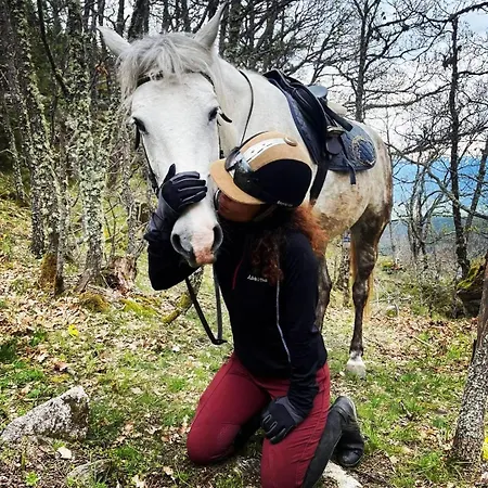 Хотел приключенска къща русалиите