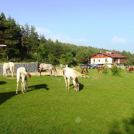 Rusaliite Adventure House 3*