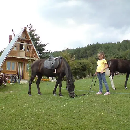 Rusaliite Adventure House فندق Bachevo (Blagoevgrad)