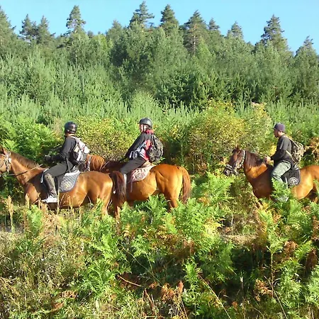 Rusaliite Adventure House 3*