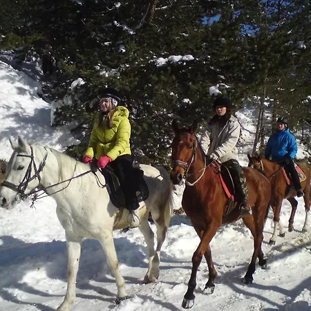 Rusaliite Adventure House