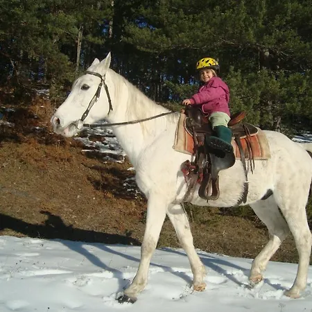 מלון Rusaliite Adventure House