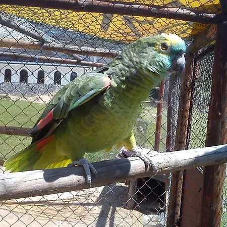 Rusaliite Adventure House 3* Bachevo (Blagoevgrad)