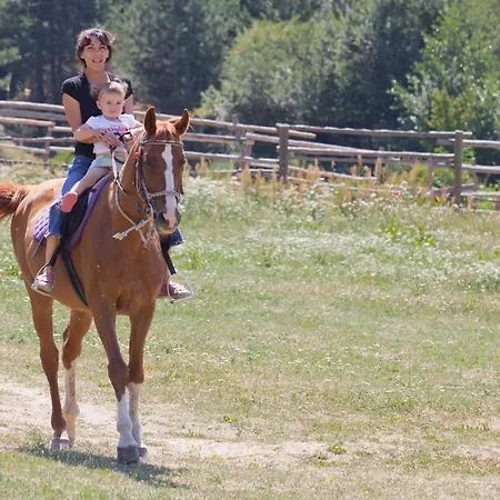 מלון Rusaliite Adventure House 3*